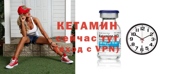 гидра Арсеньев
