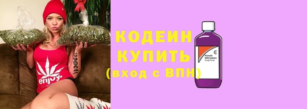 гидра Арсеньев