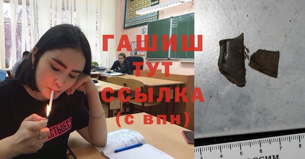 гидра Арсеньев