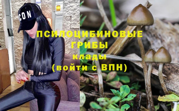 PSILOCYBIN Аркадак