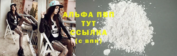 PSILOCYBIN Аркадак