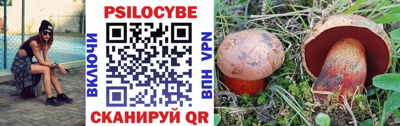 Галлюциногенные грибы мицелий  Купить  Ирбит 